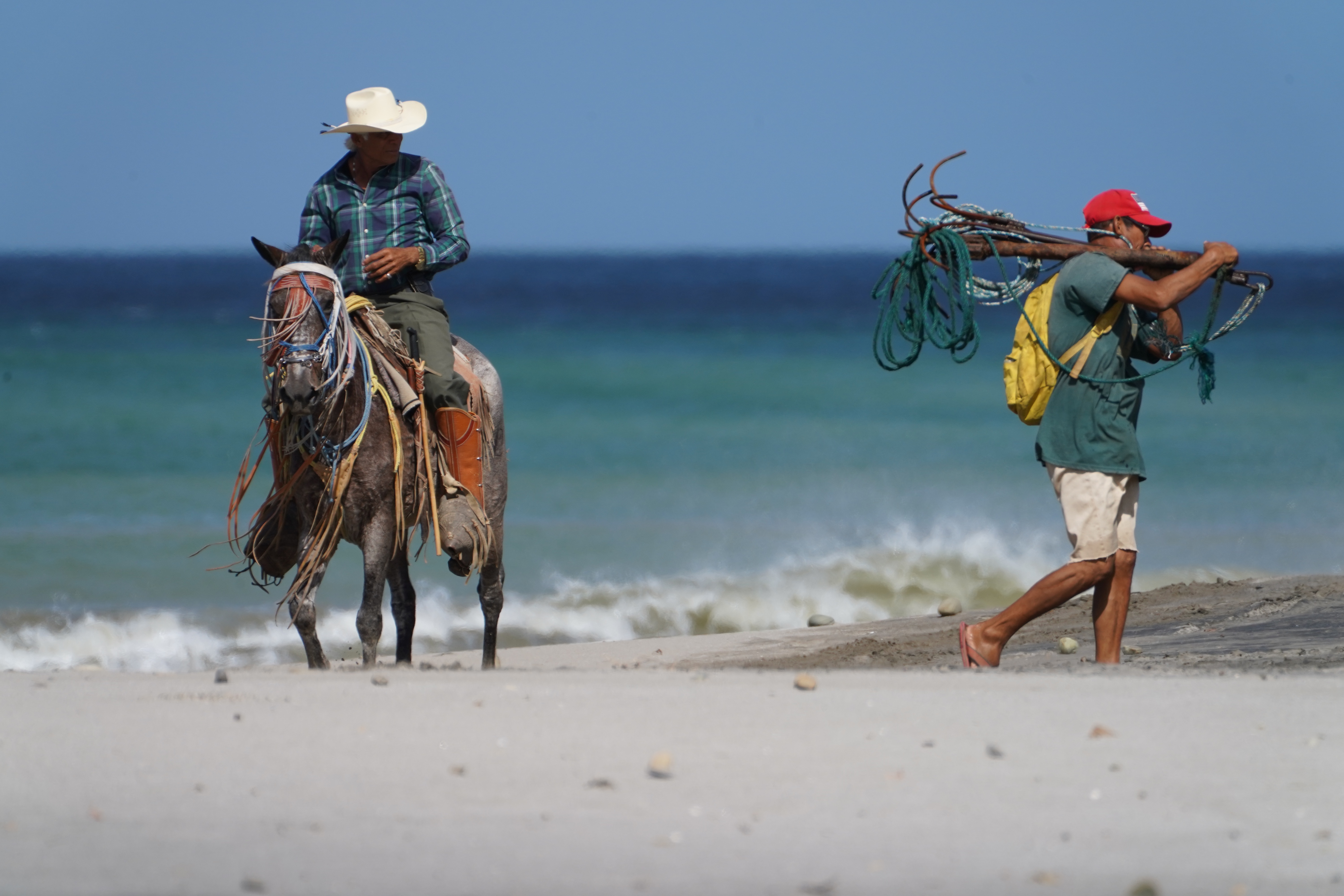 Horse and Fisherman